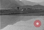 Image of rice paddies Japan, 1920, second 27 stock footage video 65675052988