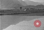 Image of rice paddies Japan, 1920, second 28 stock footage video 65675052988