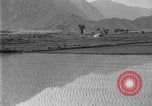 Image of rice paddies Japan, 1920, second 29 stock footage video 65675052988
