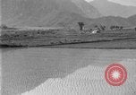 Image of rice paddies Japan, 1920, second 30 stock footage video 65675052988