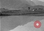 Image of rice paddies Japan, 1920, second 31 stock footage video 65675052988