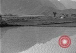 Image of rice paddies Japan, 1920, second 32 stock footage video 65675052988