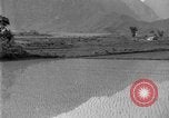 Image of rice paddies Japan, 1920, second 33 stock footage video 65675052988