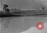Image of rice paddies Japan, 1920, second 35 stock footage video 65675052988
