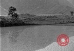 Image of rice paddies Japan, 1920, second 36 stock footage video 65675052988