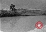 Image of rice paddies Japan, 1920, second 38 stock footage video 65675052988