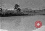 Image of rice paddies Japan, 1920, second 40 stock footage video 65675052988