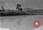 Image of rice paddies Japan, 1920, second 41 stock footage video 65675052988