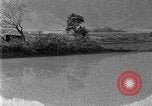 Image of rice paddies Japan, 1920, second 42 stock footage video 65675052988