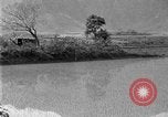 Image of rice paddies Japan, 1920, second 43 stock footage video 65675052988