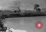 Image of rice paddies Japan, 1920, second 46 stock footage video 65675052988