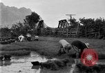 Image of rice paddies Japan, 1920, second 51 stock footage video 65675052988