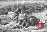 Image of Japanese civilians in war effort World War 2 Japan, 1943, second 29 stock footage video 65675052995