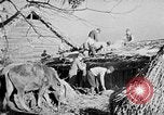 Image of Japanese civilians in war effort World War 2 Japan, 1943, second 41 stock footage video 65675052995