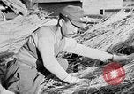 Image of Japanese civilians in war effort World War 2 Japan, 1943, second 44 stock footage video 65675052995