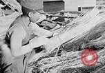 Image of Japanese civilians in war effort World War 2 Japan, 1943, second 47 stock footage video 65675052995
