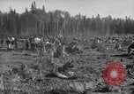 Image of Russians Archangel Russia, 1918, second 9 stock footage video 65675053040