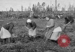 Image of Russians Archangel Russia, 1918, second 10 stock footage video 65675053040