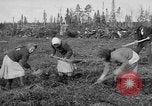 Image of Russians Archangel Russia, 1918, second 11 stock footage video 65675053040