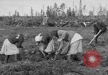 Image of Russians Archangel Russia, 1918, second 12 stock footage video 65675053040