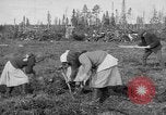 Image of Russians Archangel Russia, 1918, second 13 stock footage video 65675053040