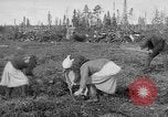 Image of Russians Archangel Russia, 1918, second 14 stock footage video 65675053040