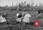 Image of Russians Archangel Russia, 1918, second 15 stock footage video 65675053040
