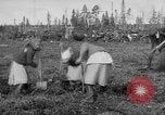 Image of Russians Archangel Russia, 1918, second 16 stock footage video 65675053040