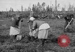 Image of Russians Archangel Russia, 1918, second 17 stock footage video 65675053040