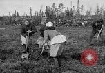Image of Russians Archangel Russia, 1918, second 18 stock footage video 65675053040