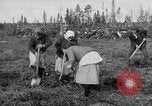 Image of Russians Archangel Russia, 1918, second 19 stock footage video 65675053040
