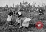 Image of Russians Archangel Russia, 1918, second 20 stock footage video 65675053040