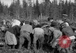 Image of Russians Archangel Russia, 1918, second 30 stock footage video 65675053040