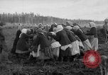 Image of Russians Archangel Russia, 1918, second 43 stock footage video 65675053040