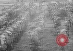 Image of 339th Infantry of American Expedition Forces Archangel Russia, 1919, second 31 stock footage video 65675053047