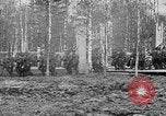 Image American 339e Régiment d'infanterie Archange Russie, 1918, de la seconde 10 séquences d'archives historiques vidéo 65675053049