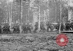 Image American 339e Régiment d'infanterie Archange Russie, 1918, de la seconde 13 séquences d'archives historiques vidéo 65675053049