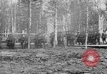 Image American 339e Régiment d'infanterie Archange Russie, 1918, de la seconde 16 séquences d'archives historiques vidéo 65675053049
