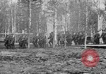 Image American 339e Régiment d'infanterie Archange Russie, 1918, de la seconde 17 séquences d'archives historiques vidéo 65675053049