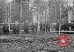 Image American 339e Régiment d'infanterie Archange Russie, 1918, de la seconde 18 séquences d'archives historiques vidéo 65675053049