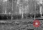 Image American 339e Régiment d'infanterie Archange Russie, 1918, de la seconde 30 séquences d'archives historiques vidéo 65675053049
