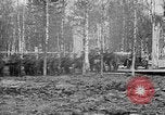 Image American 339e Régiment d'infanterie Archange Russie, 1918, de la seconde 32 séquences d'archives historiques vidéo 65675053049