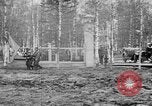 Image American 339e Régiment d'infanterie Archange Russie, 1918, de la seconde 41 séquences d'archives historiques vidéo 65675053049