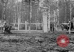 Image American 339e Régiment d'infanterie Archange Russie, 1918, de la seconde 42 séquences d'archives historiques vidéo 65675053049