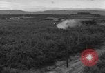 Immagine di Campana 30 elicottero la spruzzatura di pesticidi United States USA, 1942, secondo 9 filmato di repertorio 65675053061