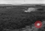 Immagine di Campana 30 elicottero la spruzzatura di pesticidi United States USA, 1942, secondo 10 filmato di repertorio 65675053061