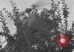 Immagine di Campana 30 elicottero la spruzzatura di pesticidi United States USA, 1942, secondo 38 filmato di repertorio 65675053061