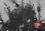 Immagine di Campana 30 elicottero la spruzzatura di pesticidi United States USA, 1942, secondo 39 filmato di repertorio 65675053061