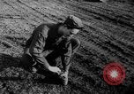 Image of the Marshall Plan and Berlin blockade Berlin Germany, 1951, second 44 stock footage video 65675053067