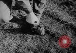 Image of the Marshall Plan and Berlin blockade Berlin Germany, 1951, second 45 stock footage video 65675053067